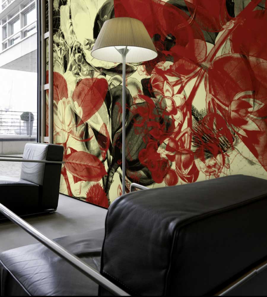 www.designioo.com