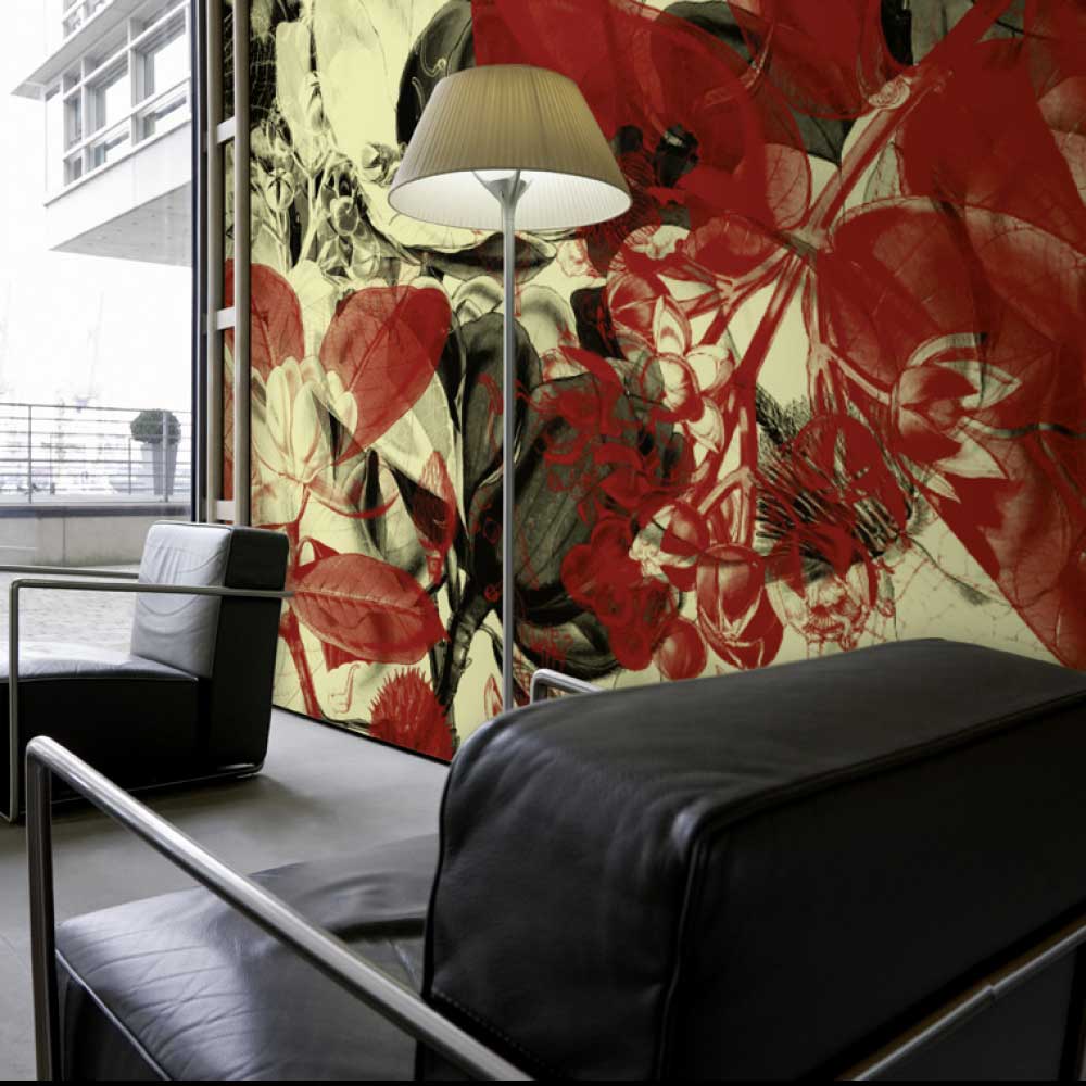 www.designioo.com